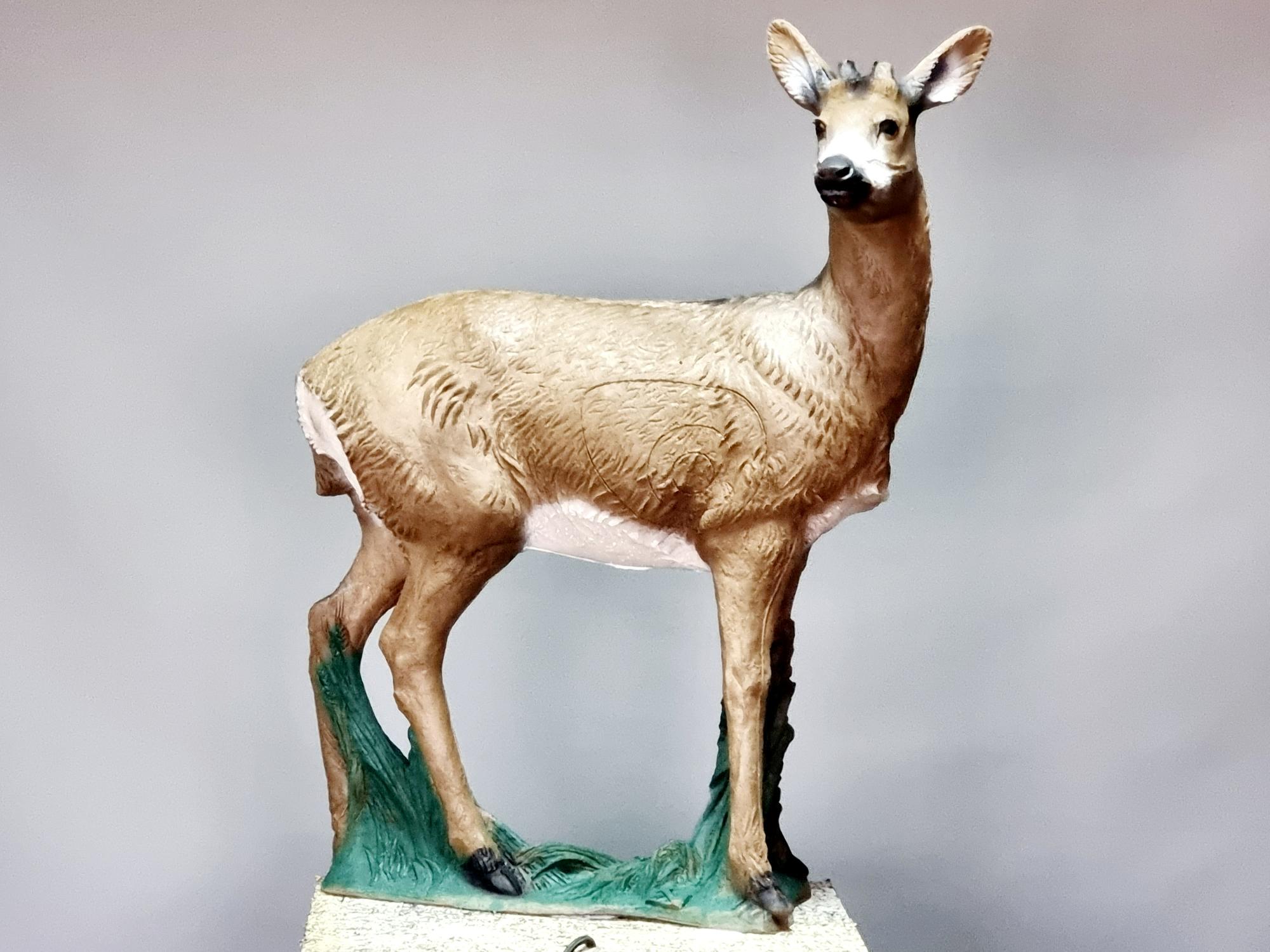 3D Мишень Косуля