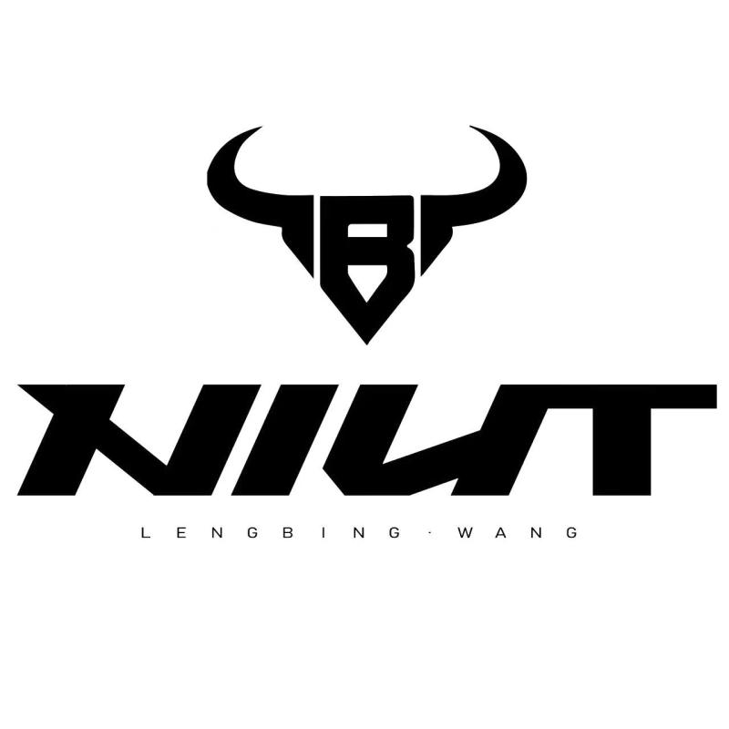 Новинка, компактные блочные луки для охоты NIUT